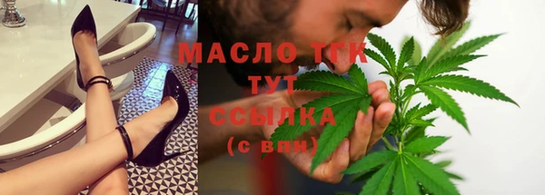 сатива Горнозаводск
