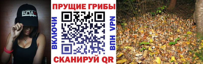 Галлюциногенные грибы мицелий  Купить закладки  Усть-Катав 